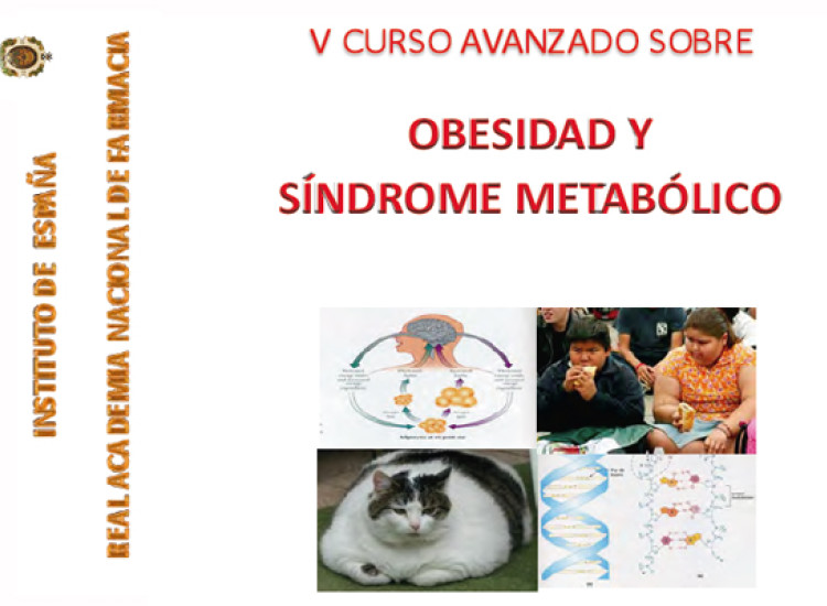 V Curso avanzado sobre Obesidad y Síndrome metabólico