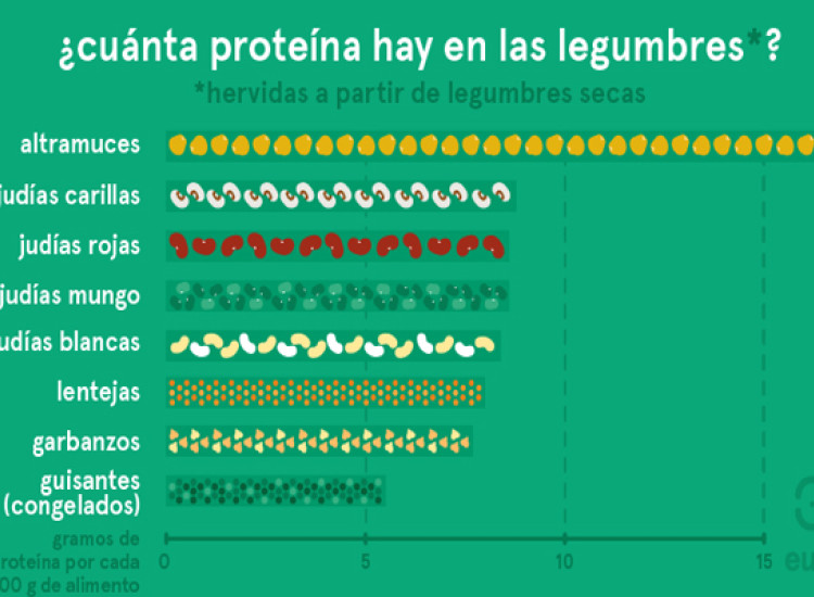 Proteína de origen vegetal: todo lo que necesitas saber para sacar provecho de ella