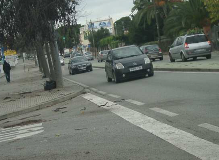 Influencia del ruido del tráfico sobre el peso corporal