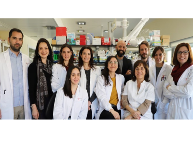 Identifican una nueva acción protectora de la alfa1-antitripsina sobre las células Î² pancreáticas en un modelo de ratón de diabetes tipo 2