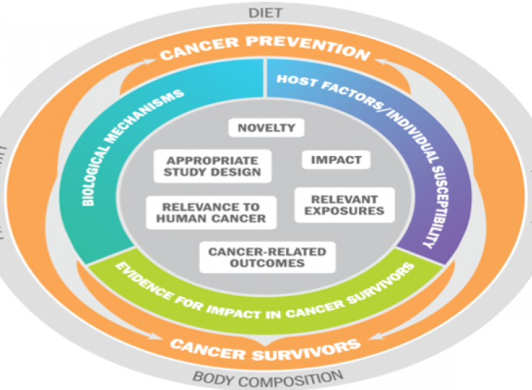 World Cancer Research Fund International: Grant programmes
