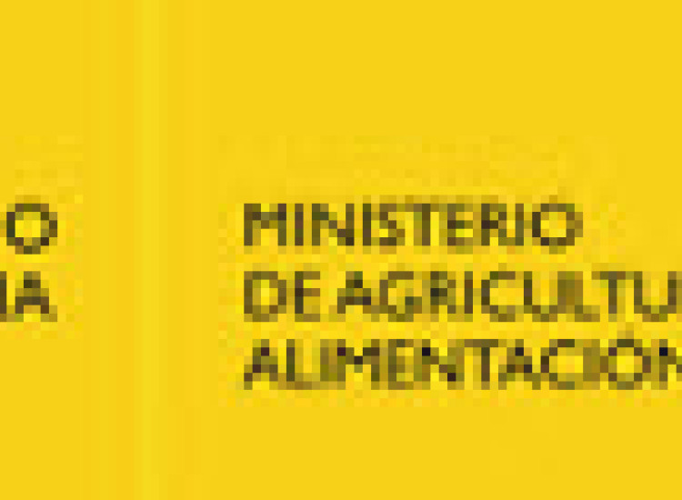Premio Alimentos de España al Mejor Jamón